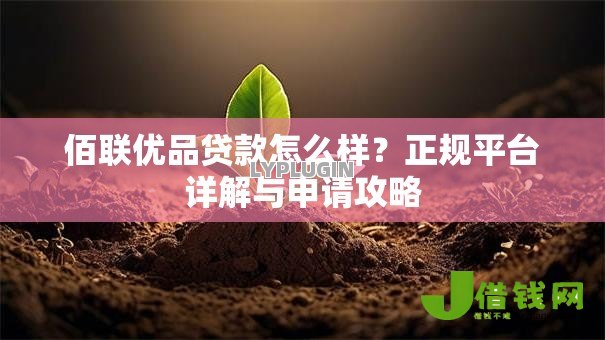 佰联优品贷款怎么样？正规平台详解与申请攻略