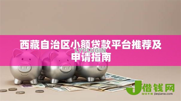 西藏自治区小额贷款平台推荐及申请指南 西藏自治区小额贷款平台推荐及申请指南