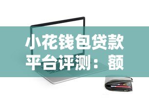 小花钱包贷款平台评测：额度、利率、申请条件全解析
