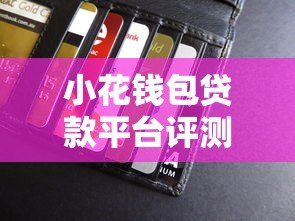 小花钱包贷款平台评测：额度、利率、申请条件全解析
