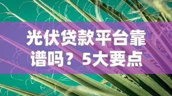 光伏贷款平台靠谱吗?5大要点教你避坑省钱 光伏贷款平台靠谱吗?5大要点教你避坑省钱