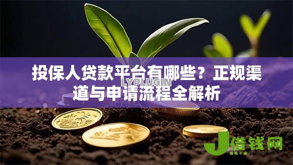 投保人贷款平台有哪些？正规渠道与申请流程全解析