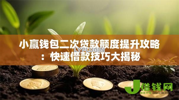 小赢钱包二次贷款额度提升攻略：快速借款技巧大揭秘