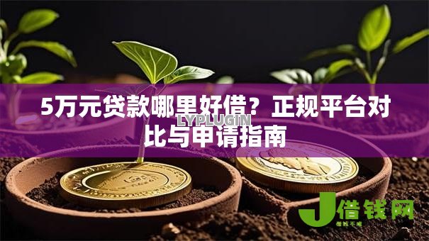 5万元贷款哪里好借？正规平台对比与申请指南