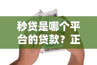 秒贷是哪个平台的贷款？正规靠谱的借款渠道解析