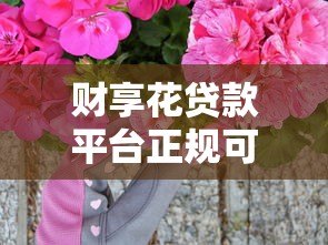 财享花贷款平台正规可靠吗？真实评测及用户反馈解析