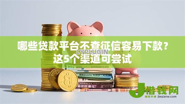 哪些贷款平台不查征信容易下款？这5个渠道可尝试