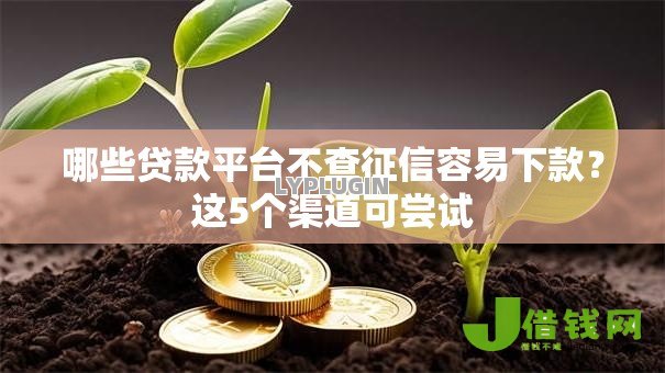 哪些贷款平台不查征信容易下款？这5个渠道可尝试