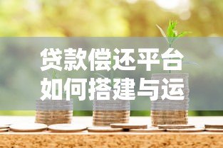 贷款偿还平台如何搭建与运营？全流程解析及成功案例