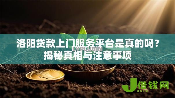 洛阳贷款上门服务平台是真的吗？揭秘真相与注意事项