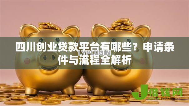四川创业贷款平台有哪些？申请条件与流程全解析