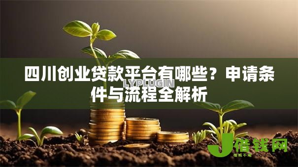 四川创业贷款平台有哪些？申请条件与流程全解析