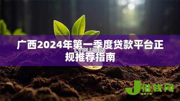 广西2024年第一季度贷款平台正规推荐指南 广西2024年第一季度贷款平台正规推荐指南