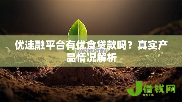 优速融平台有优食贷款吗?真实产品情况解析 优速融平台有优食贷款吗?真实产品情况解析