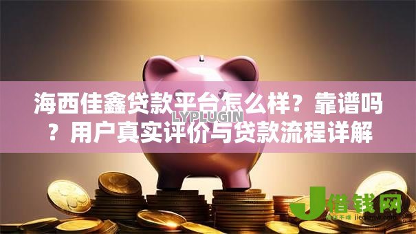 海西佳鑫贷款平台怎么样？靠谱吗？用户真实评价与贷款流程详解