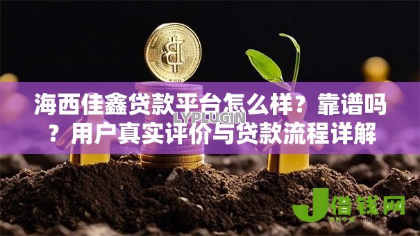 海西佳鑫贷款平台怎么样？靠谱吗？用户真实评价与贷款流程详解