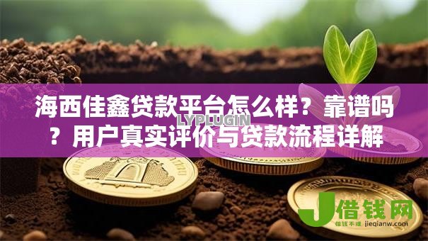 海西佳鑫贷款平台怎么样？靠谱吗？用户真实评价与贷款流程详解