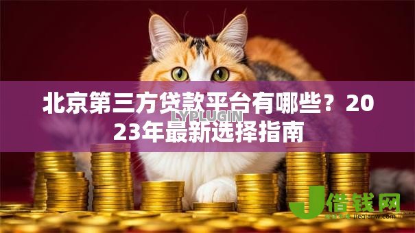 北京第三方贷款平台有哪些？2023年最新选择指南