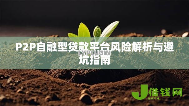 P2P自融型贷款平台风险解析与避坑指南