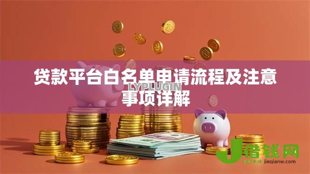 贷款平台白名单申请流程及注意事项详解