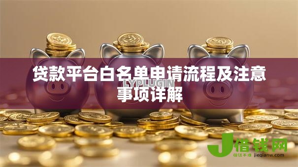 贷款平台白名单申请流程及注意事项详解