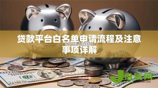 贷款平台白名单申请流程及注意事项详解