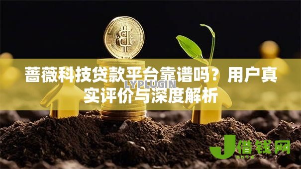 蔷薇科技贷款平台靠谱吗？用户真实评价与深度解析