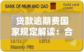贷款逾期费国家规定解读：合法范围与应对策略
