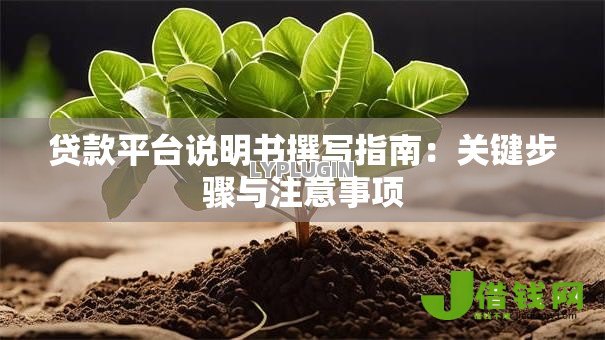 贷款平台说明书撰写指南：关键步骤与注意事项