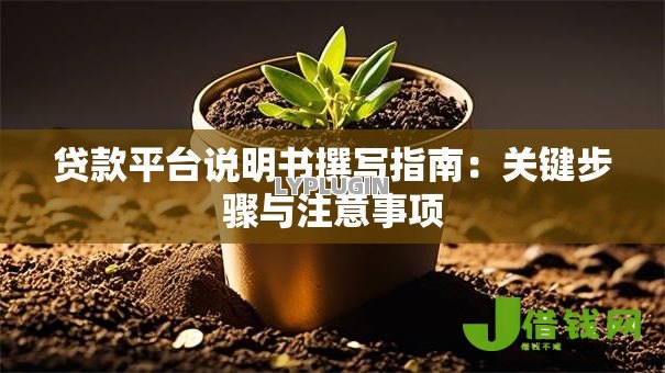 贷款平台说明书撰写指南：关键步骤与注意事项