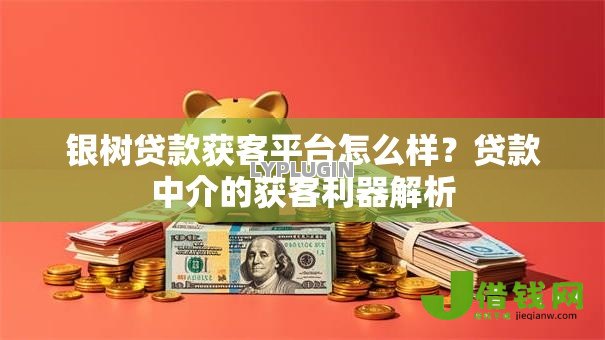 银树贷款获客平台怎么样?贷款中介的获客利器解析 银树贷款获客平台怎么样?贷款中介的获客利器解析