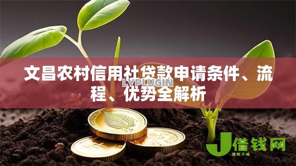 文昌农村信用社贷款申请条件、流程、优势全解析