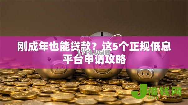 刚成年也能贷款?这5个正规低息平台申请攻略 刚成年也能贷款?这5个正规低息平台申请攻略