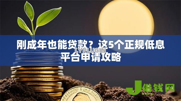 刚成年也能贷款?这5个正规低息平台申请攻略 刚成年也能贷款?这5个正规低息平台申请攻略