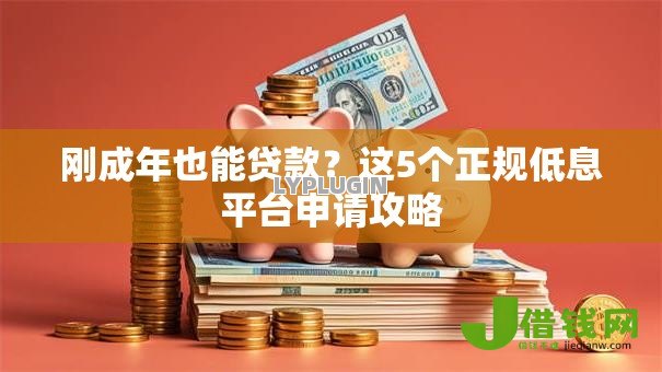 刚成年也能贷款?这5个正规低息平台申请攻略 刚成年也能贷款?这5个正规低息平台申请攻略