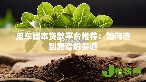 用车绿本贷款平台推荐:如何选到靠谱的渠道 用车绿本贷款平台推荐:如何选到靠谱的渠道
