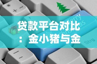 贷款平台对比:金小猪与金字塔哪个更靠谱? 贷款平台对比:金小猪与金字塔哪个更靠谱?