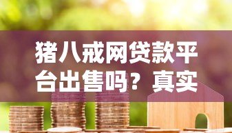 猪八戒网贷款平台出售吗?真实情况解析与用户指南 猪八戒网贷款平台出售吗?真实情况解析与用户指南