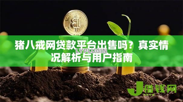猪八戒网贷款平台出售吗?真实情况解析与用户指南 猪八戒网贷款平台出售吗?真实情况解析与用户指南