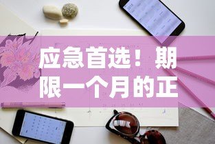 应急首选！期限一个月的正规贷款平台推荐及申请指南