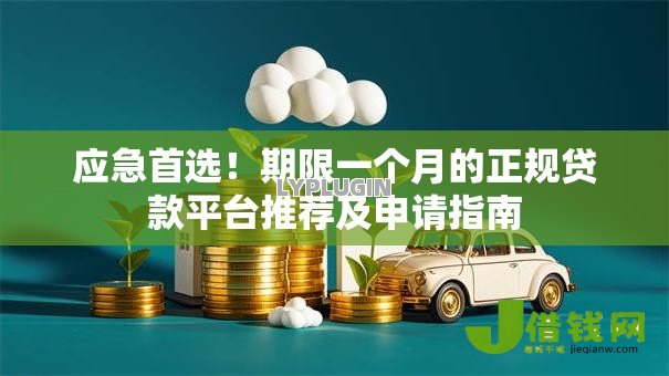 应急首选！期限一个月的正规贷款平台推荐及申请指南