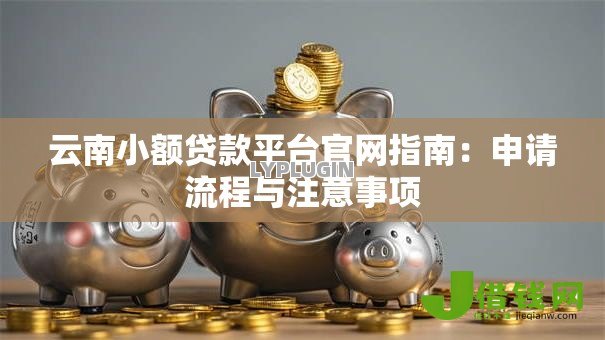 云南小额贷款平台官网指南:申请流程与注意事项 云南小额贷款平台官网指南:申请流程与注意事项