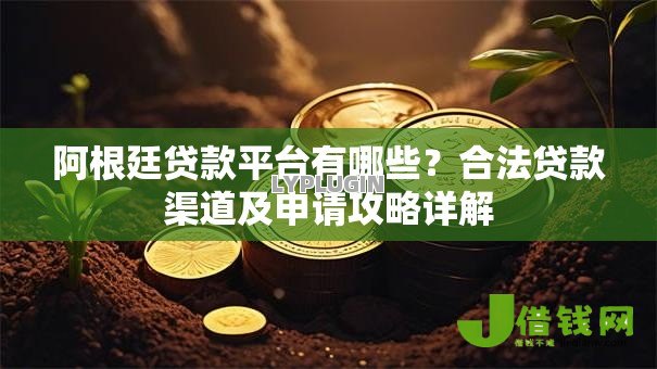 阿根廷贷款平台有哪些？合法贷款渠道及申请攻略详解