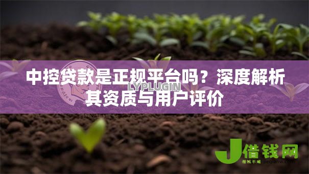 中控贷款是正规平台吗?深度解析其资质与用户评价 中控贷款是正规平台吗?深度解析其资质与用户评价
