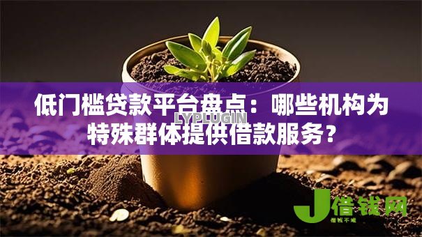低门槛贷款平台盘点：哪些机构为特殊群体提供借款服务？
