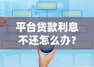 平台贷款利息不还怎么办？这些解决办法要知道