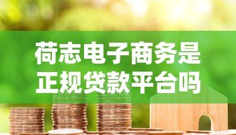 荷志电子商务是正规贷款平台吗？全面解析其资质与风险