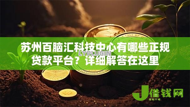 苏州百脑汇科技中心有哪些正规贷款平台？详细解答在这里