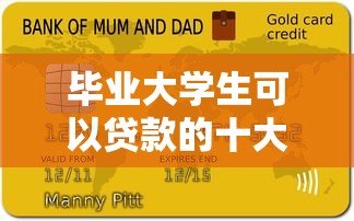 毕业大学生可以贷款的十大正规平台推荐及申请指南