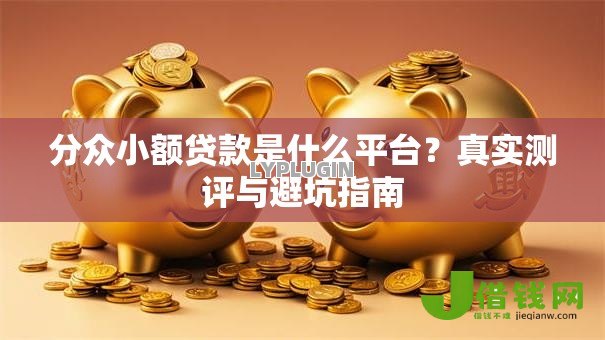 分众小额贷款是什么平台？真实测评与避坑指南